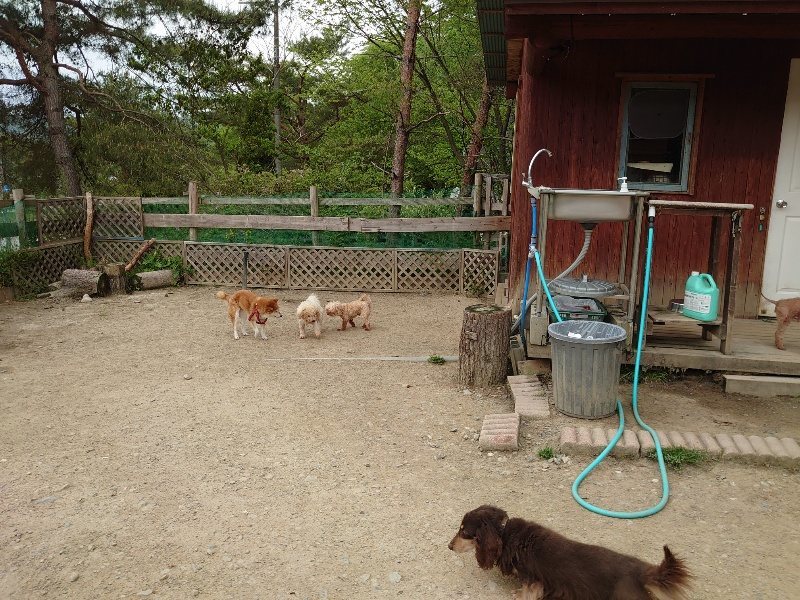 f：id：roukenhome-ann：20200509202822j：plain