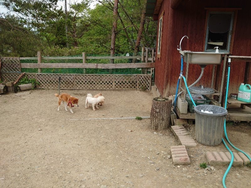 f：id：roukenhome-ann：20200509202835j：plain