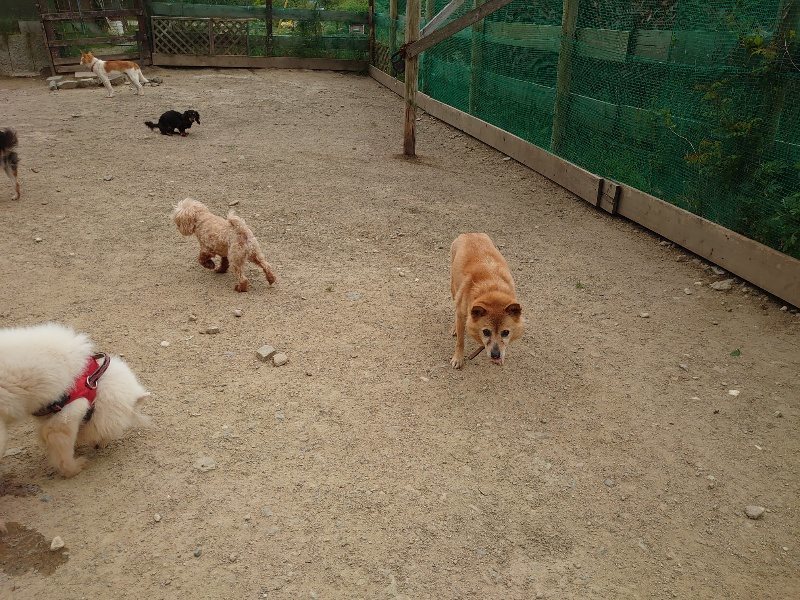 f：id：roukenhome-ann：20200509203039j：plain