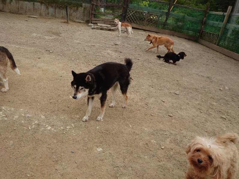 f：id：roukenhome-ann：20200509203142j：plain