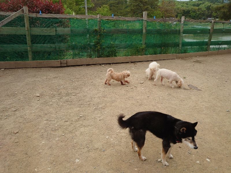 f：id：roukenhome-ann：20200509203313j：plain