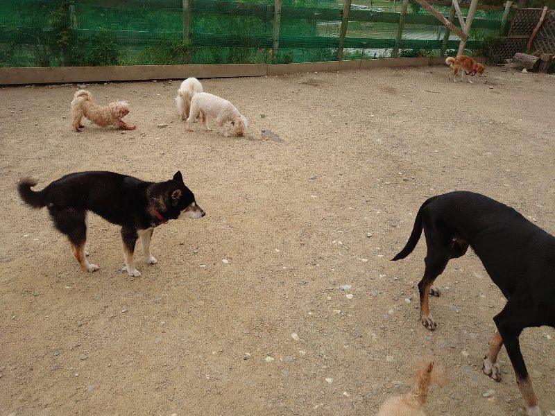 f：id：roukenhome-ann：20200509203318j：plain