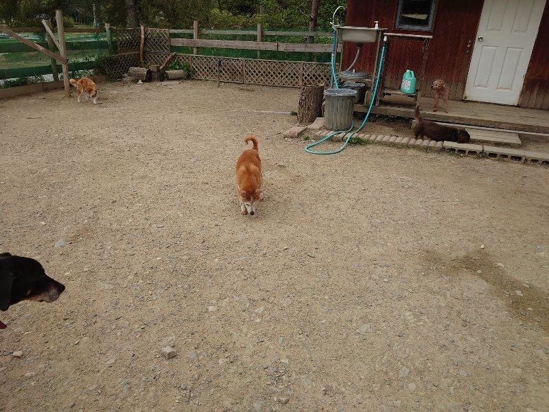 f：id：roukenhome-ann：20200509203335j：plain