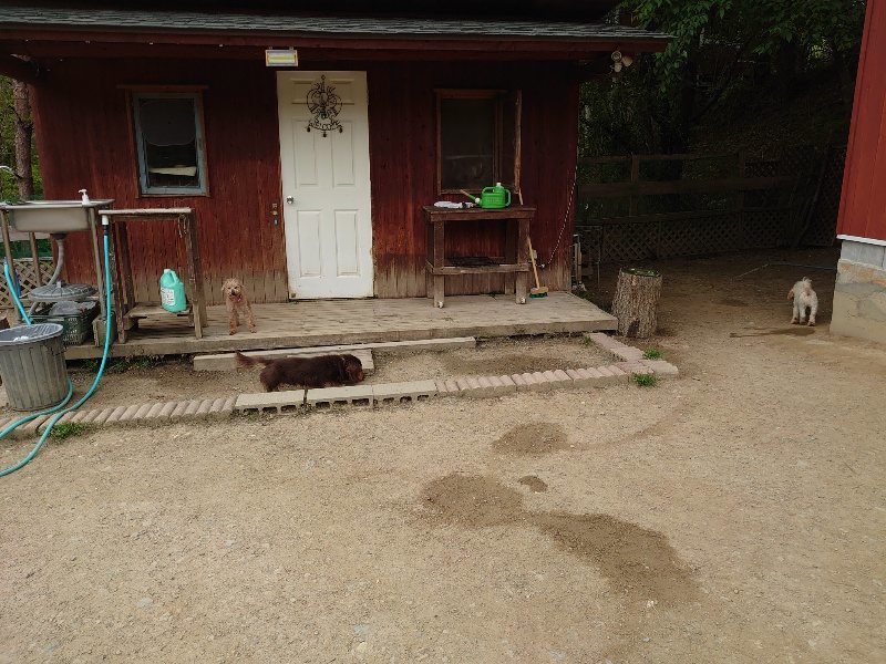 f：id：roukenhome-ann：20200509203340j：plain