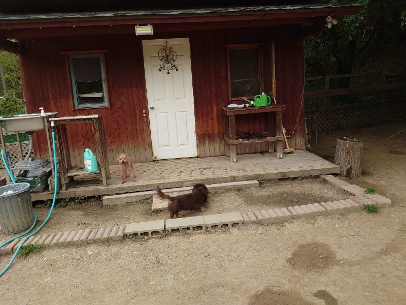 f：id：roukenhome-ann：20200509203350j：plain