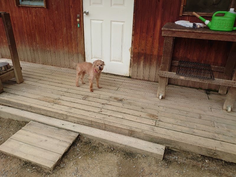 f：id：roukenhome-ann：20200509203451j：plain