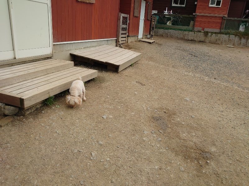f：id：roukenhome-ann：20200509203522j：plain