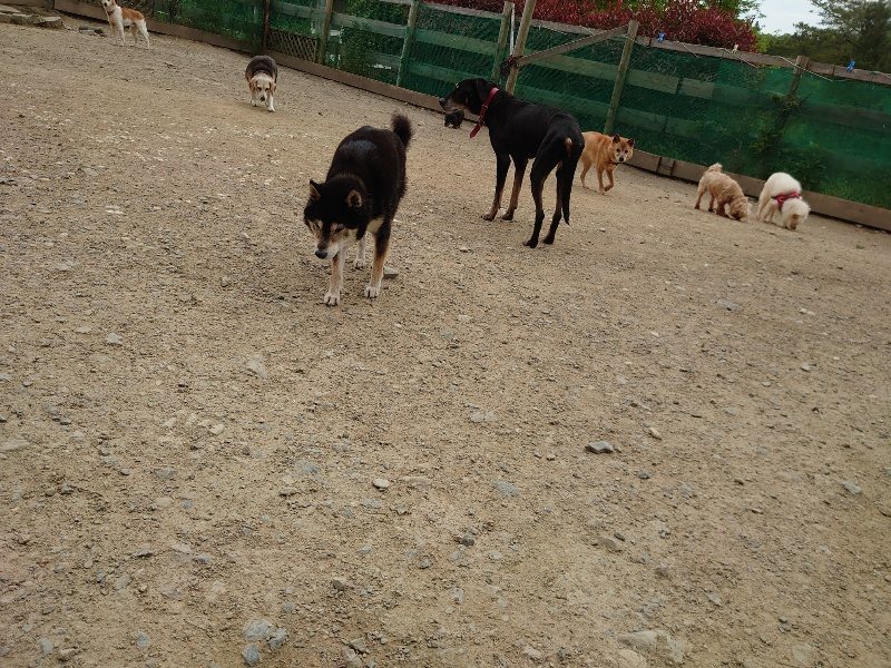 f：id：roukenhome-ann：20200509203528j：plain