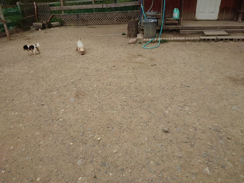 f：id：roukenhome-ann：20200509203628j：plain