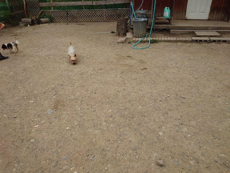 f：id：roukenhome-ann：20200509203639j：plain
