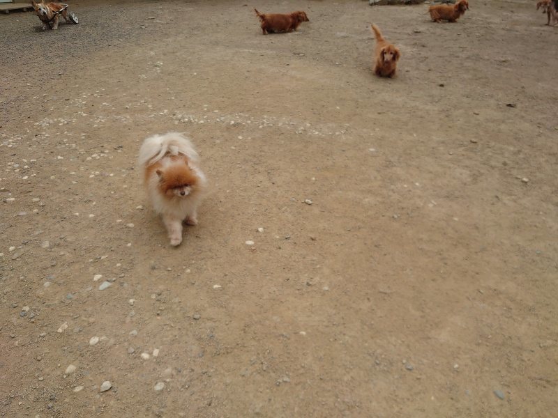f：id：roukenhome-ann：20200509203924j：plain