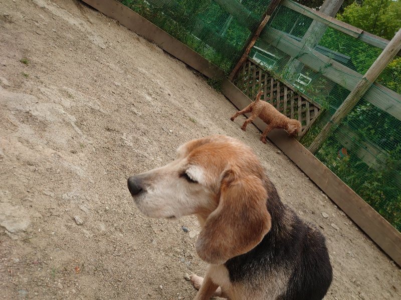 f：id：roukenhome-ann：20200509204020j：plain