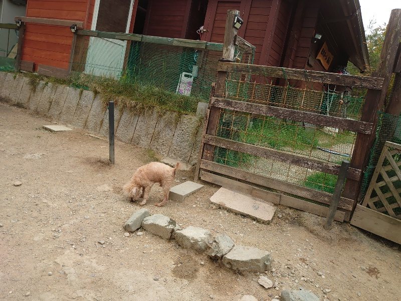 f：id：roukenhome-ann：20200509204151j：plain