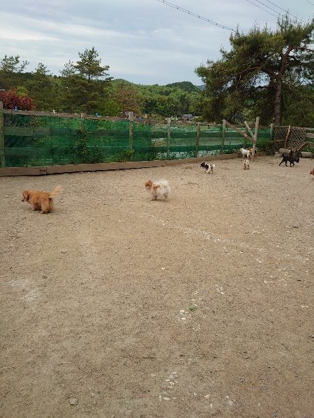 f：id：roukenhome-ann：20200509204241j：plain