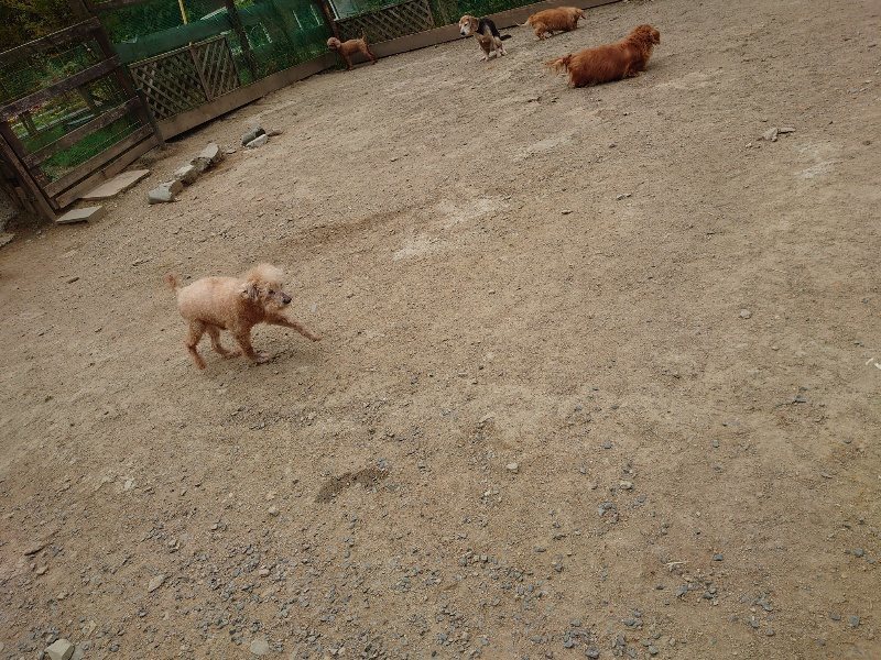 f：id：roukenhome-ann：20200509204253j：plain