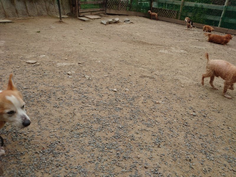 f：id：roukenhome-ann：20200509204306j：plain