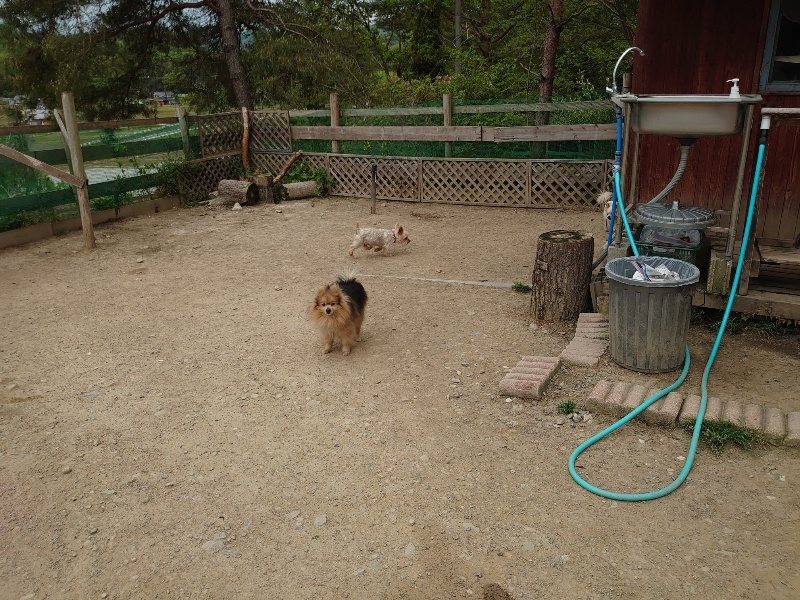 f：id：roukenhome-ann：20200509204349j：plain