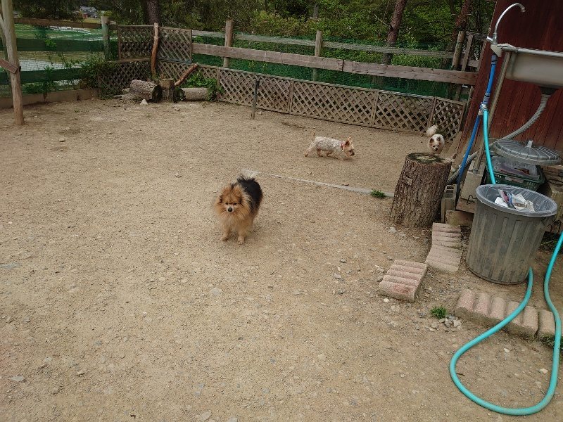 f：id：roukenhome-ann：20200509204356j：plain