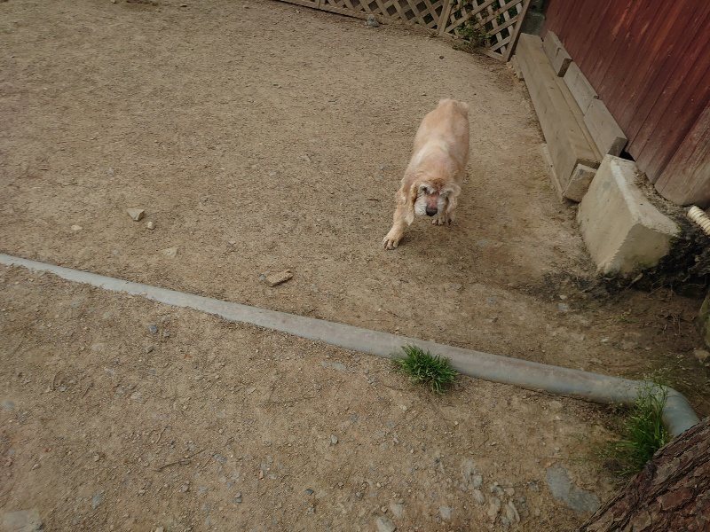f：id：roukenhome-ann：20200509204753j：plain