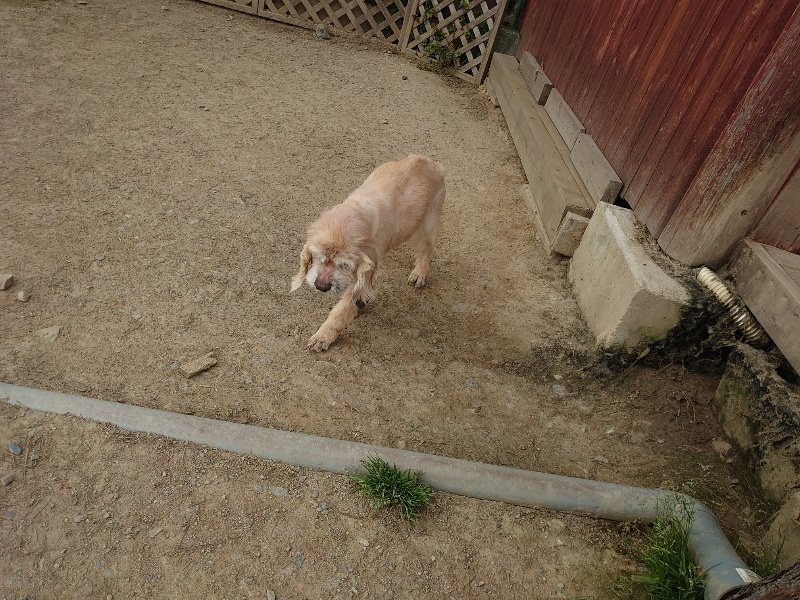 f：id：roukenhome-ann：20200509204804j：plain