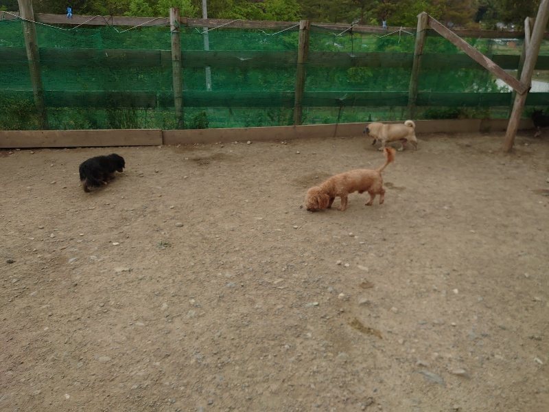 f：id：roukenhome-ann：20200509204959j：plain