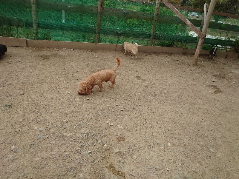 f：id：roukenhome-ann：20200509205005j：plain