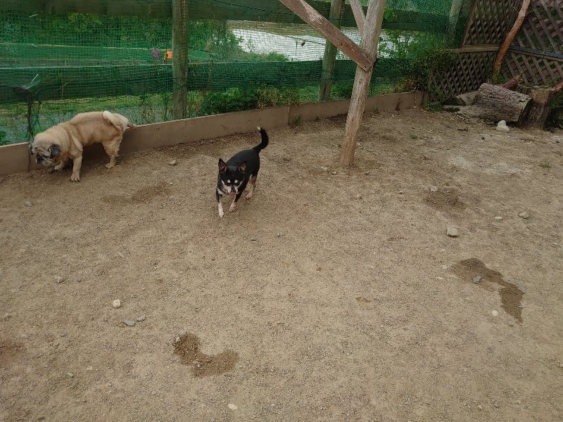 f：id：roukenhome-ann：20200509205016j：plain