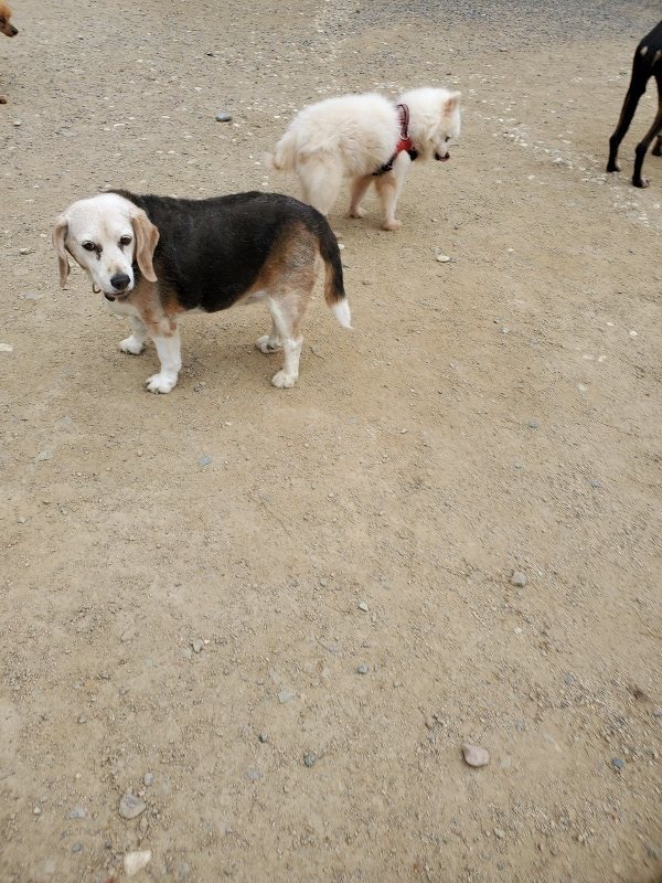 f：id：roukenhome-ann：20200510081523j：plain