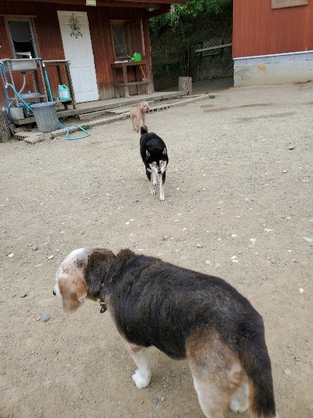 f：id：roukenhome-ann：20200510081545j：plain