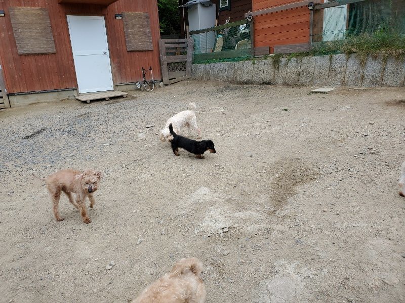 f：id：roukenhome-ann：20200510081715j：plain