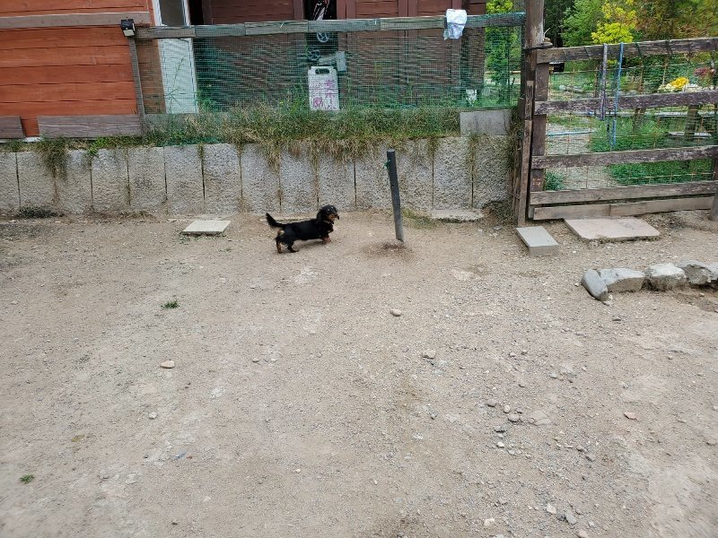 f：id：roukenhome-ann：20200510082047j：plain