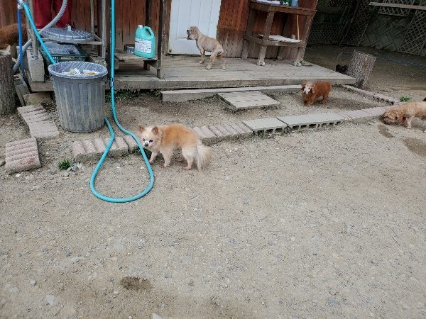 f：id：roukenhome-ann：20200510083233j：plain