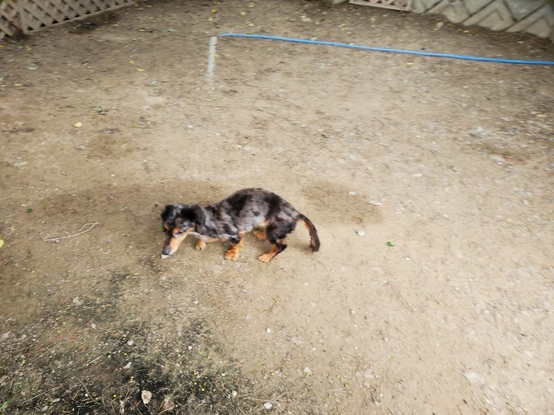 f：id：roukenhome-ann：20200510083432j：plain