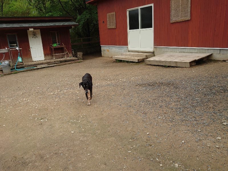 f：id：roukenhome-ann：20200511083029j：plain