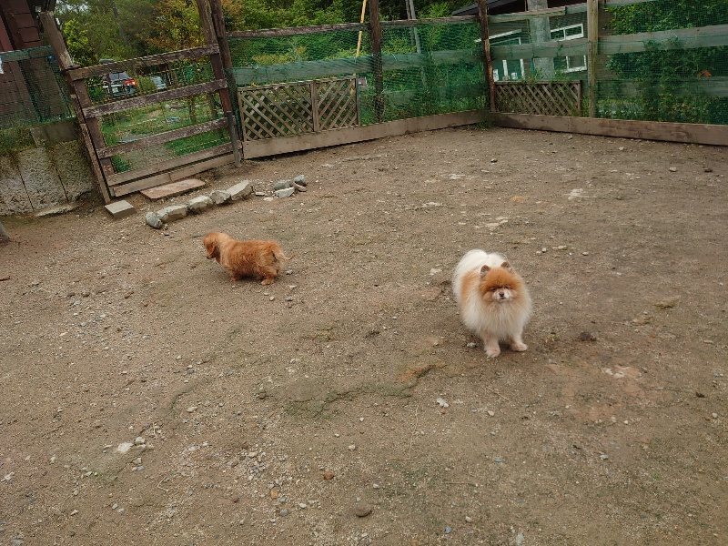 f：id：roukenhome-ann：20200511083358j：plain