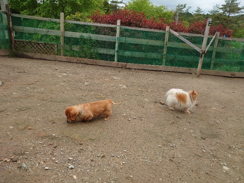 f：id：roukenhome-ann：20200511083447j：plain