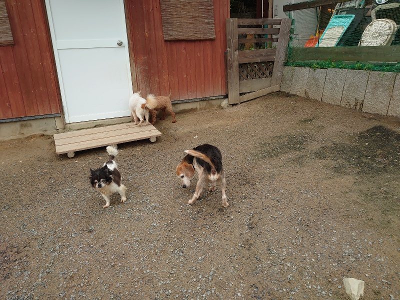 f：id：roukenhome-ann：20200511083452j：plain