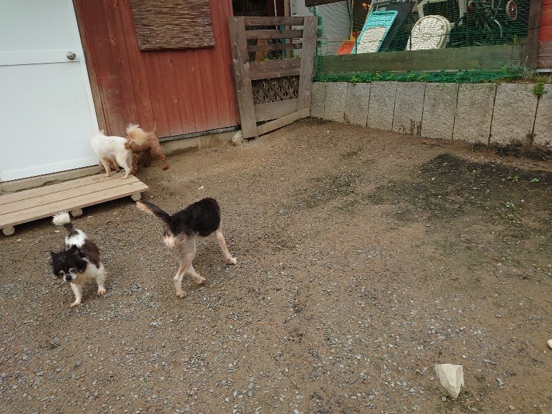 f：id：roukenhome-ann：20200511083457j：plain