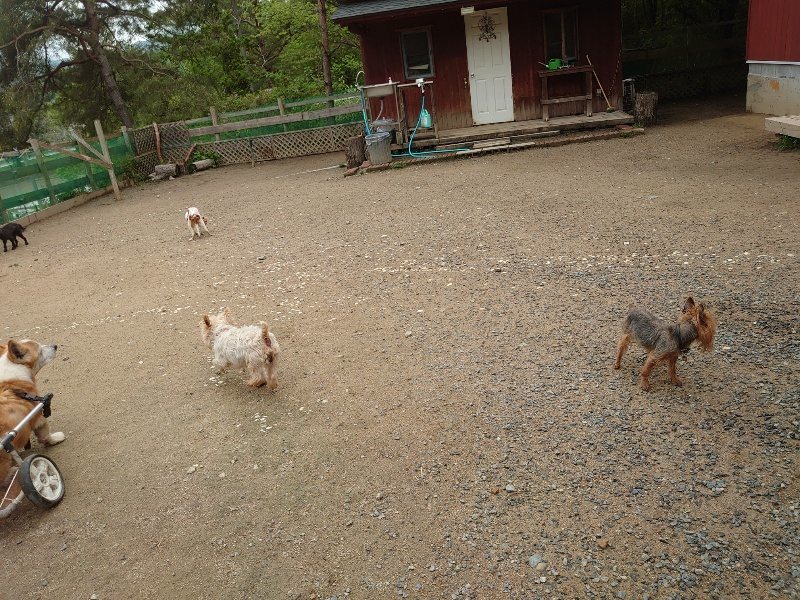 f：id：roukenhome-ann：20200511083624j：plain