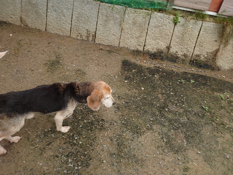 f：id：roukenhome-ann：20200511083708j：plain