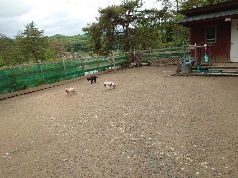f：id：roukenhome-ann：20200511083747j：plain