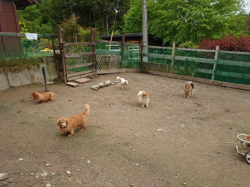 f：id：roukenhome-ann：20200511083819j：plain