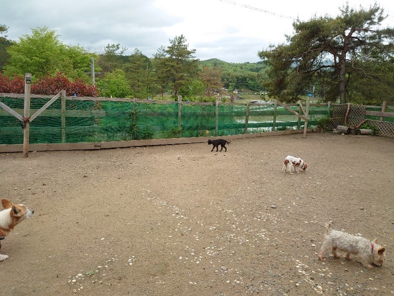 f：id：roukenhome-ann：20200511083840j：plain