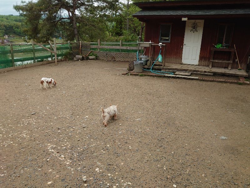 f：id：roukenhome-ann：20200511083846j：plain