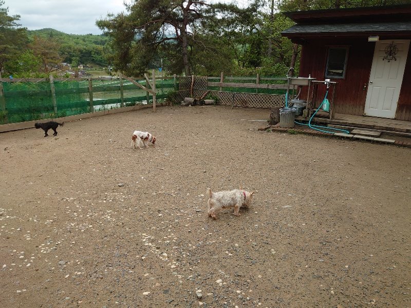f：id：roukenhome-ann：20200511083851j：plain