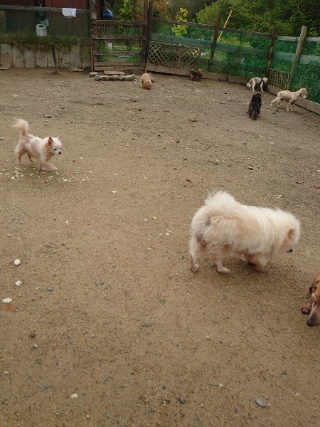 f：id：roukenhome-ann：20200511084016j：plain