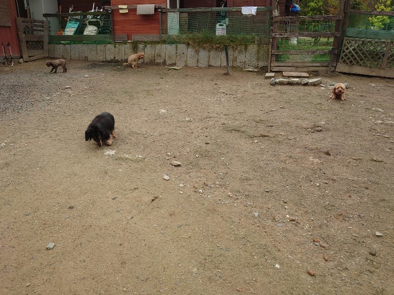 f：id：roukenhome-ann：20200511084034j：plain