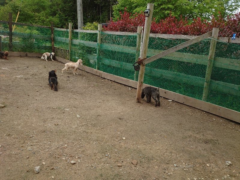 f：id：roukenhome-ann：20200511084041j：plain