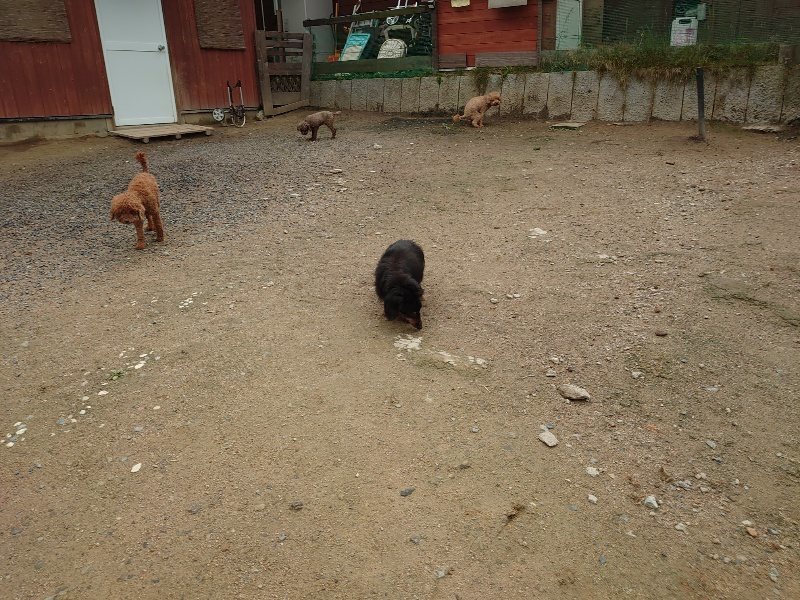 f：id：roukenhome-ann：20200511084046j：plain