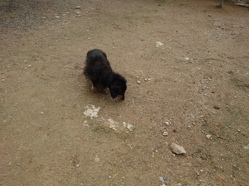 f：id：roukenhome-ann：20200511084051j：plain